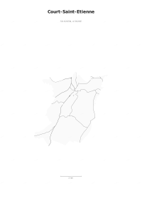 Court-Saint-Etienne Minimal